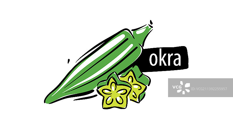 白色背景上手绘秋葵图片素材