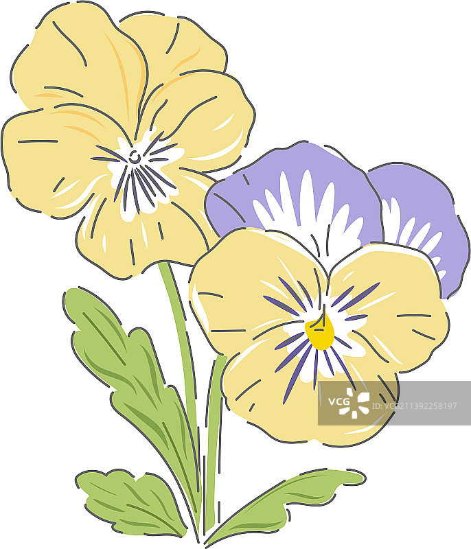 手绘三色堇春季花卉植物图片素材