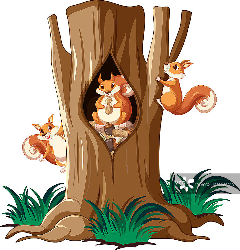三只松鼠爬树图片素材