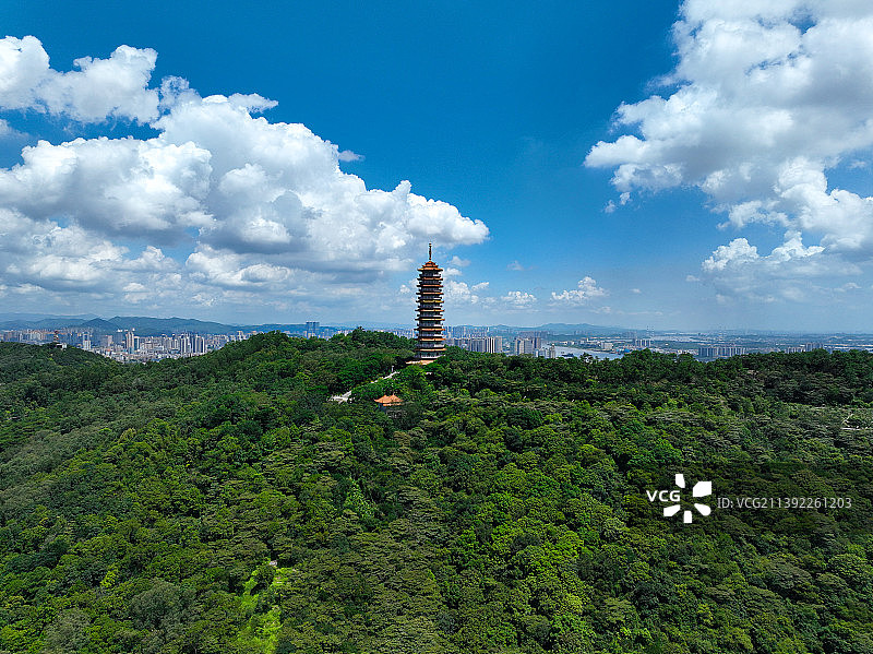 广东省江门市江海区白水带公园地标龙光塔航拍图片素材