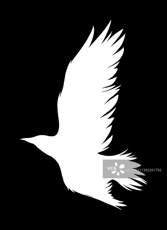 乌鸦剪影图片素材