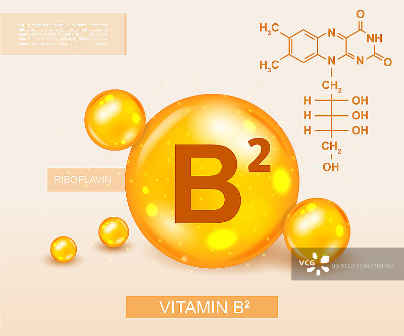 维生素B2概念设计图片素材