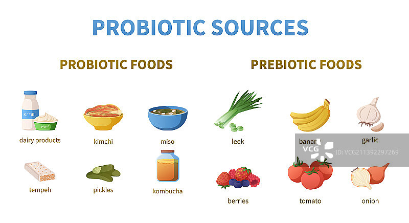 益生菌来源卡通信息图图片素材