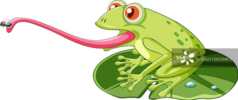 荷叶上捕捉昆虫的青蛙图片素材