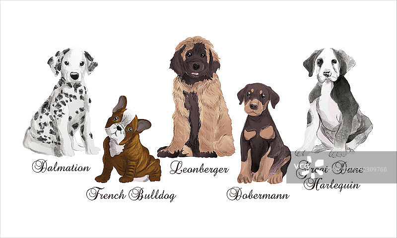 小狗肖像水彩逼真风格组合图片素材