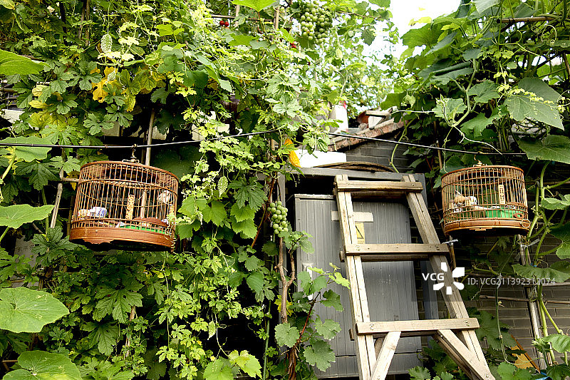 老北京四合院外小景图片素材
