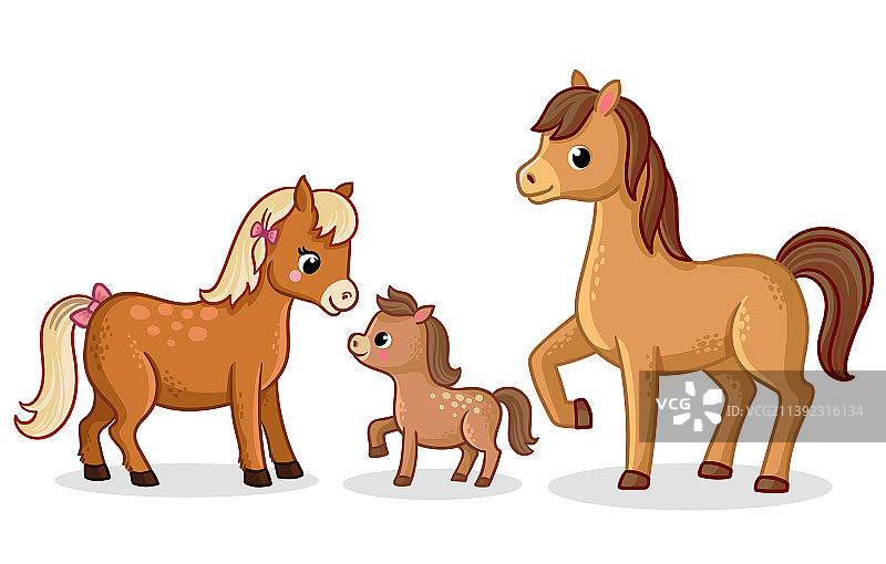 马一家站立图片素材