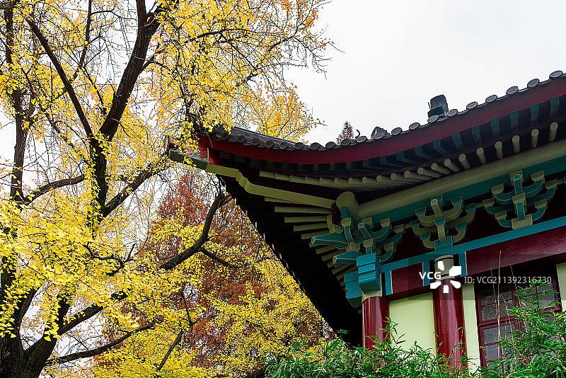 南京师范大学图片素材