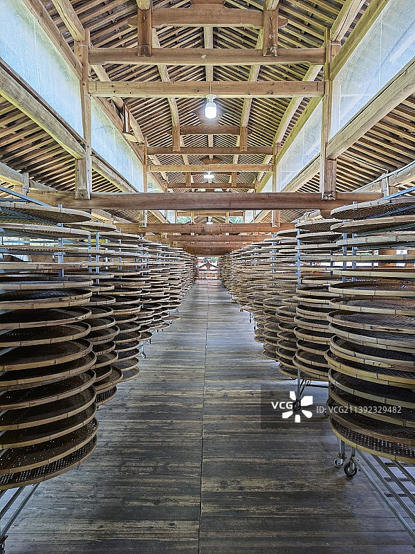 茶叶加工车间里晾白茶设备图片素材