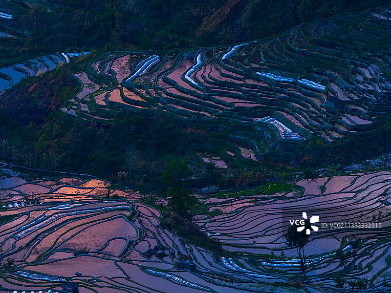 傍晚的中国云南省红河州元阳县元阳哈尼梯田图片素材