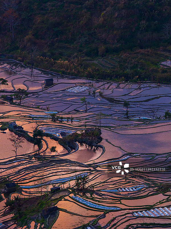 傍晚的中国云南省红河州元阳县元阳哈尼梯田图片素材