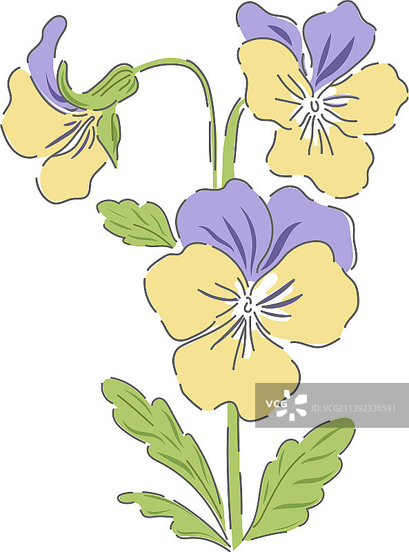 手绘三色堇春季花卉植物图片素材