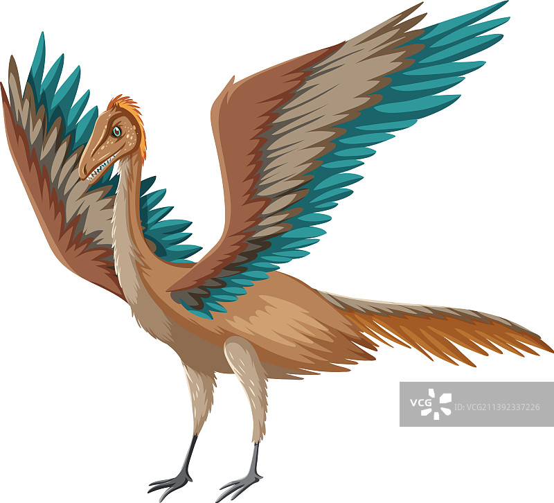 白色背景上的恐龙始祖鸟图片素材