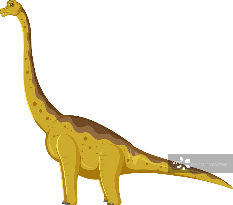 白色背景下的腕龙恐龙图片素材