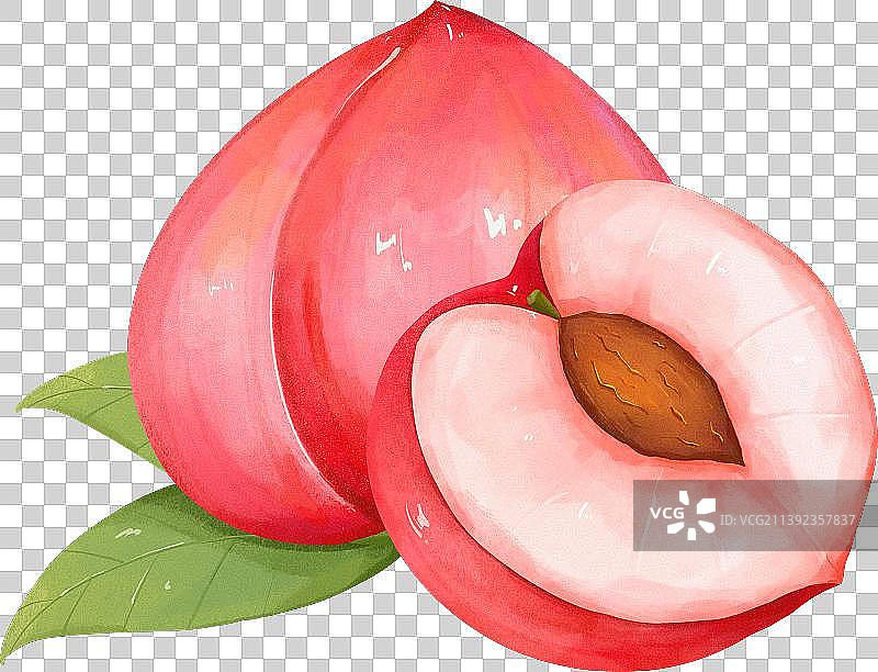 手绘水果水蜜桃插画图片素材