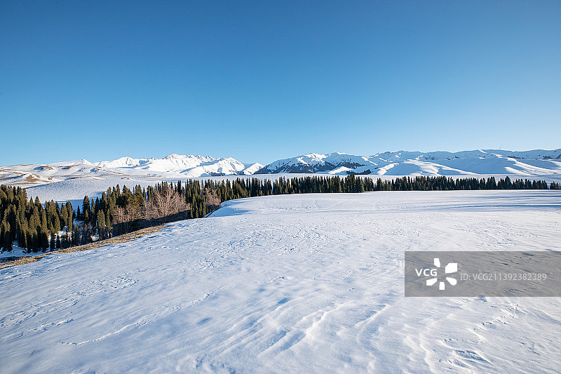 唐布拉草原百里画廊图片素材