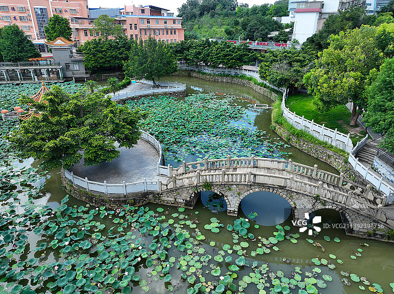 广东省江门市江海区白水带茶庵古寺航拍图片素材