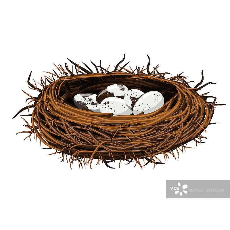 鸟巢与鸟蛋图案图片素材