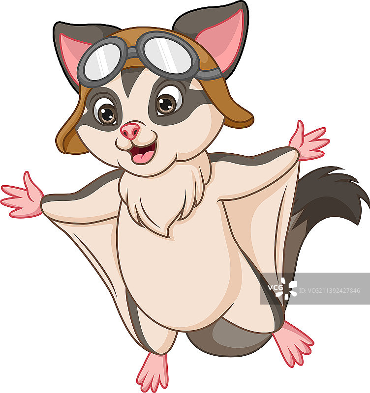 白色背景上的卡通蜜袋鼯图片素材