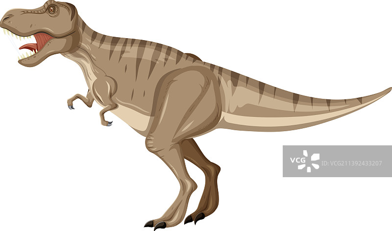 白色背景上的霸王龙图片素材