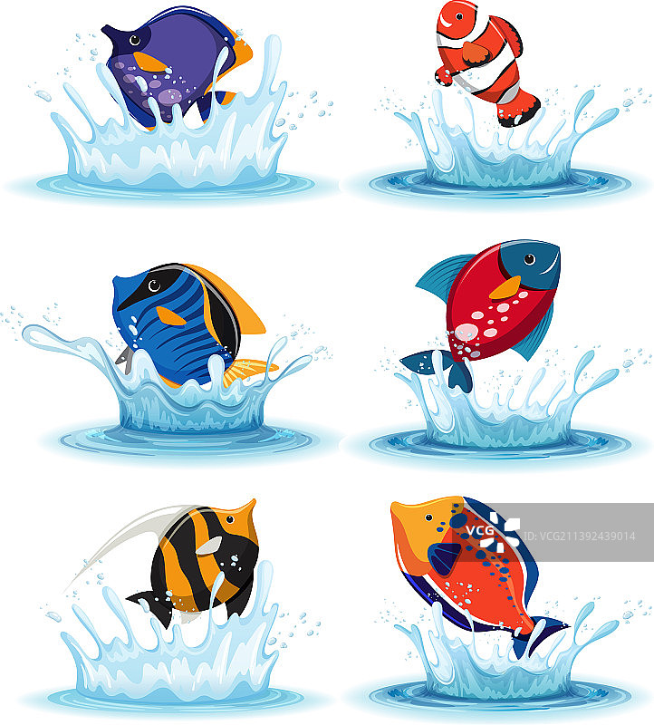 精美鱼类合集图片素材