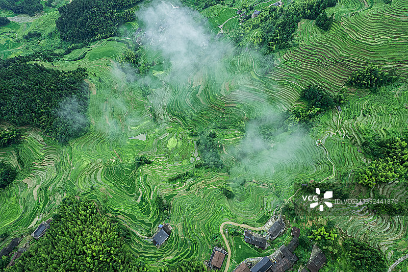 湖南娄底新化县紫鹊界梯田夏季风光图片素材