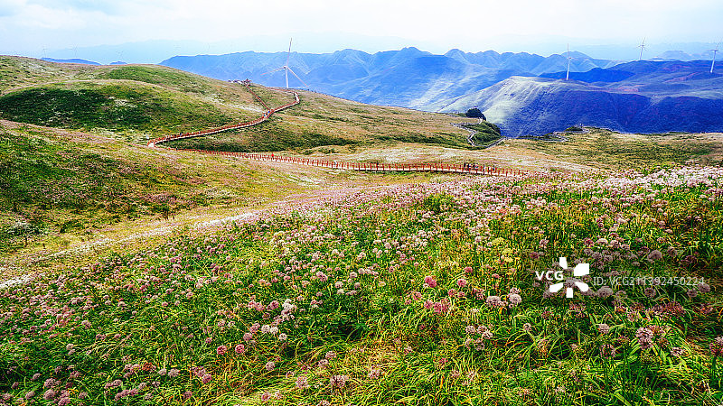 贵州阿西里西韭菜坪风光图片素材