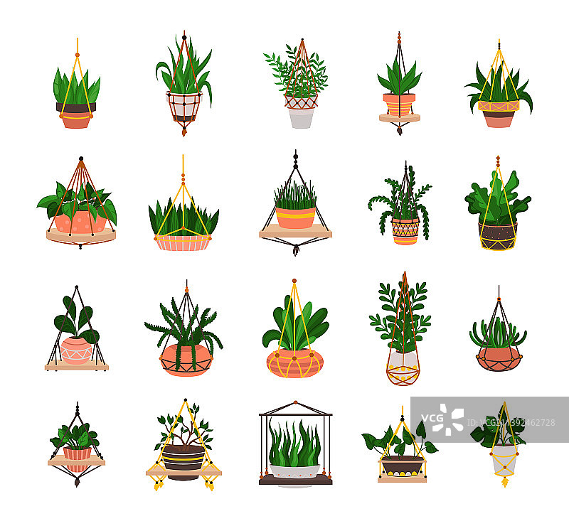 悬挂盆栽植物合集图片素材
