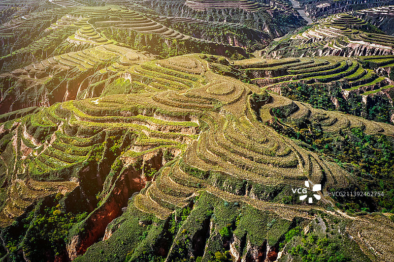 山西黄土高坡梯田景观图片素材