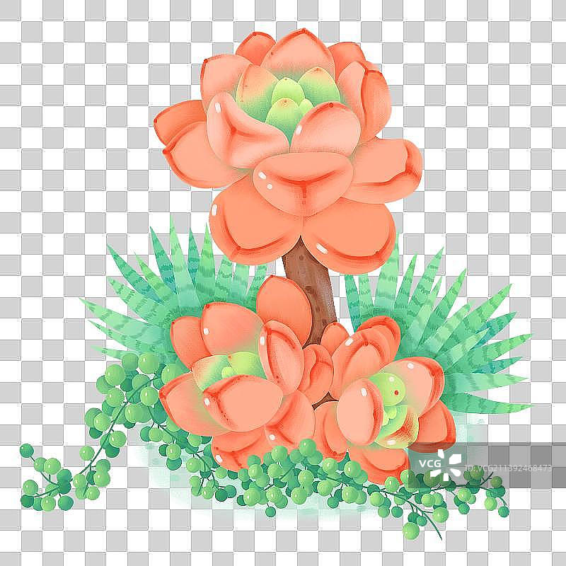 创意植物花卉多肉芦荟美人泪小景组合插画图片素材