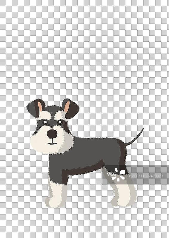 雪纳瑞图片素材