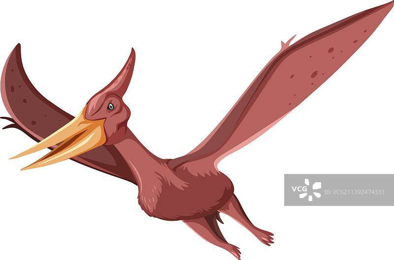 白色背景下的翼龙图片素材