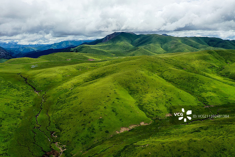 四川省阿坝藏族羌族自治州若尔盖草原，素有“川西北高原的绿洲”之称，是我国三大湿地之一图片素材