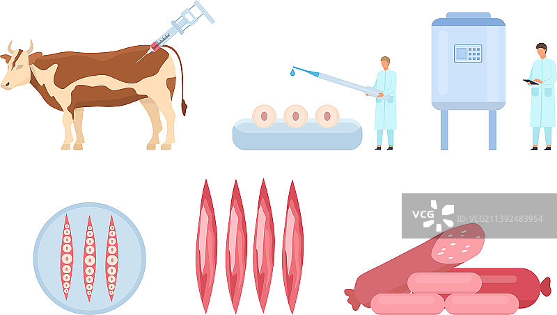 扁平风人造培养牛肉生产图片素材