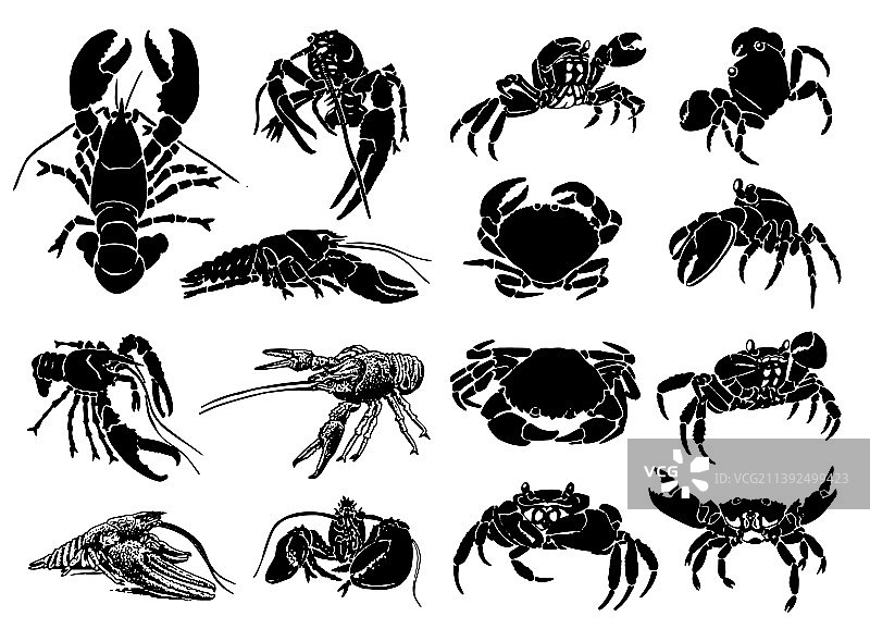 螃蟹和龙虾图案大合集图片素材