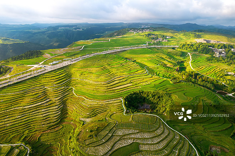 贵州省黔南龙里县朵花万亩梯田花海日出航拍图片素材