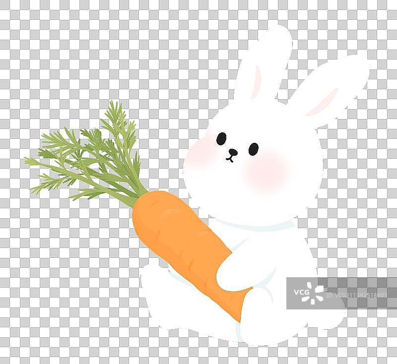 抱胡萝卜的可爱兔子图片素材