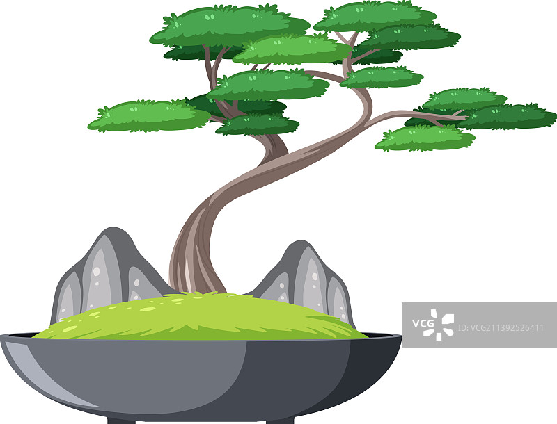 白色背景盆栽图片素材