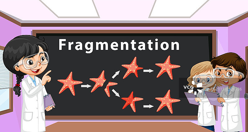 海星的无性繁殖断裂图片素材