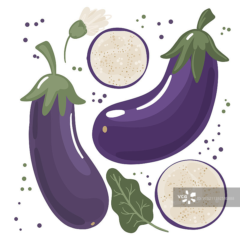 不同大小的茄子图片素材