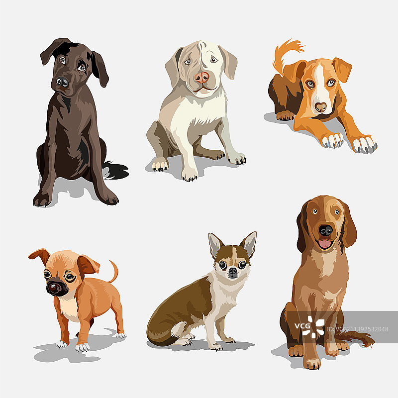 各种可爱犬种合集图片素材