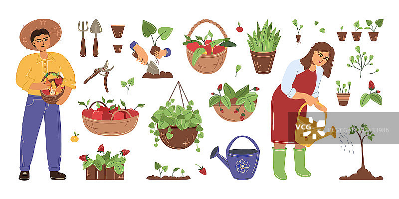 植物和园丁用品套装图片素材