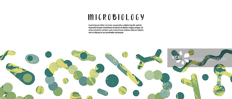 微生物学细菌学图片素材