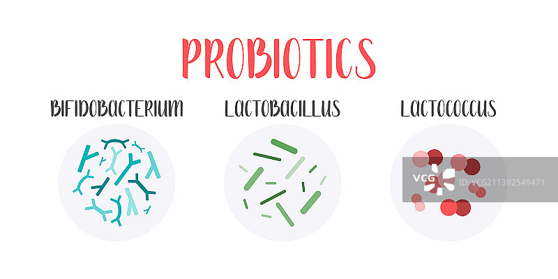 益生菌乳酸菌有益菌图片素材
