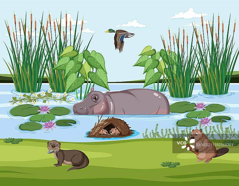 湿地森林场景与水豚图片素材