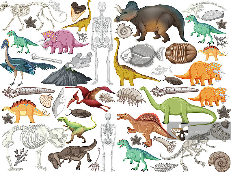 史前恐龙动物合集图片素材