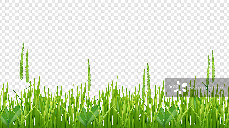 绿色草地边框逼真田野或草地图片素材
