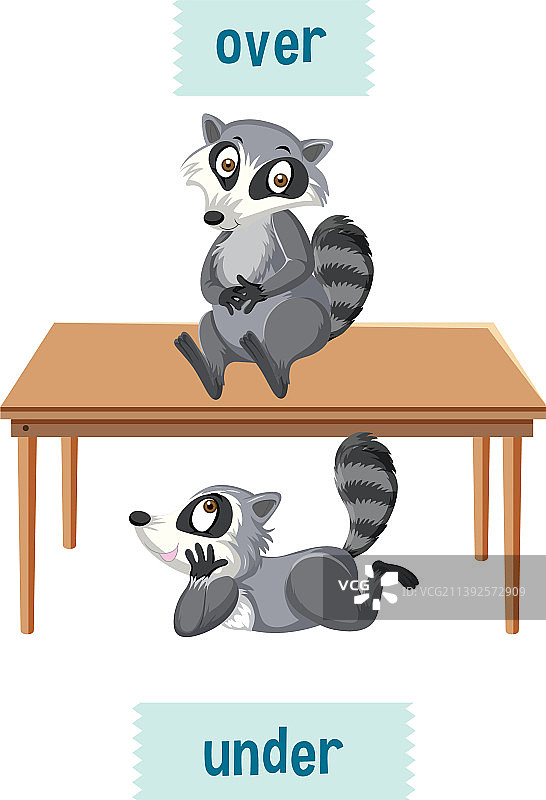 浣熊在下面和英语介词图片素材