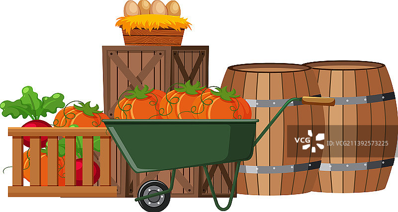 待售的有机农产品图片素材