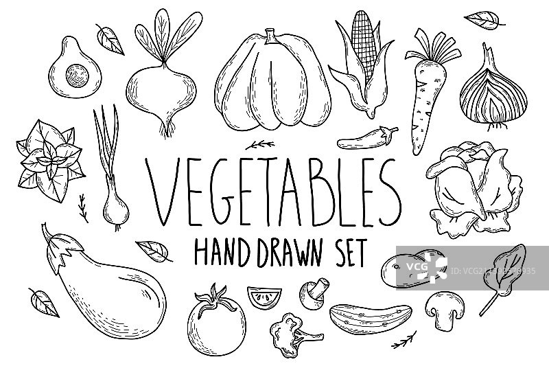 手绘健康蔬菜合集图片素材
